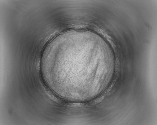 X0000112980153200909171345