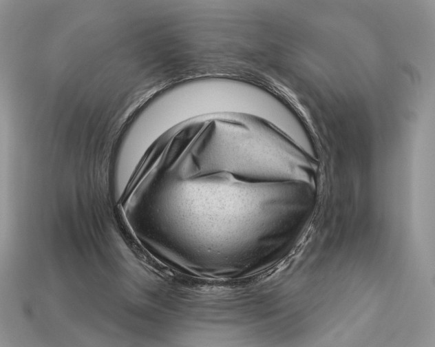 X0000112980154200909171345