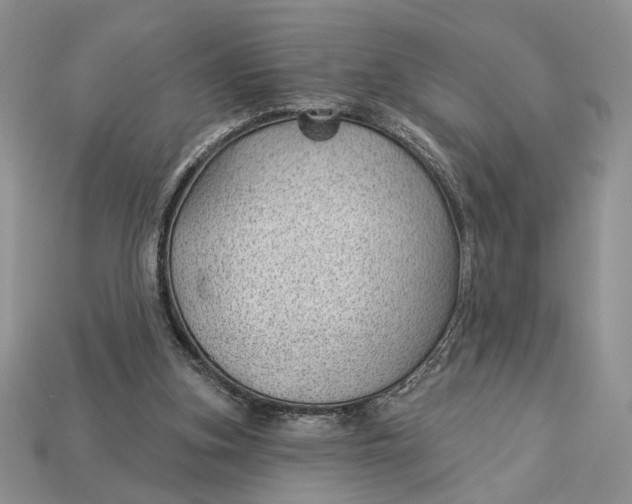 X0000112980155200909171345