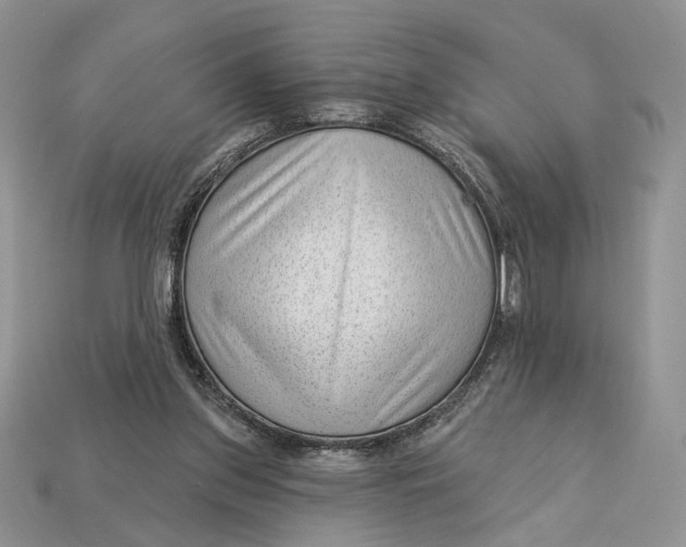 X0000112980157200909171345