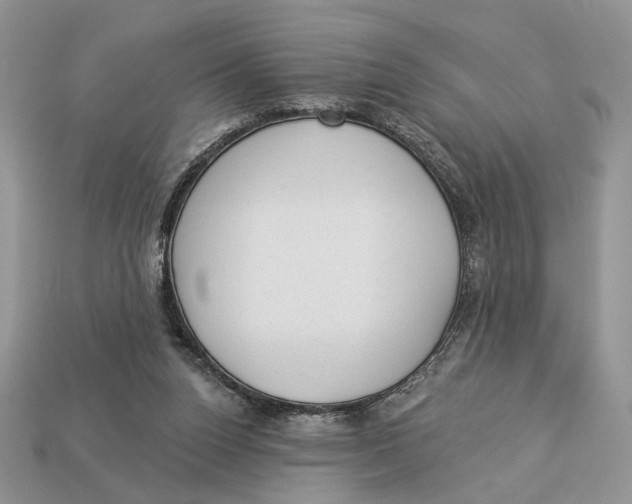 X0000112980160200909171345