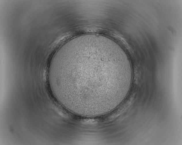X0000112980161200909171345