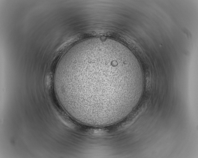 X0000112980165200909171345