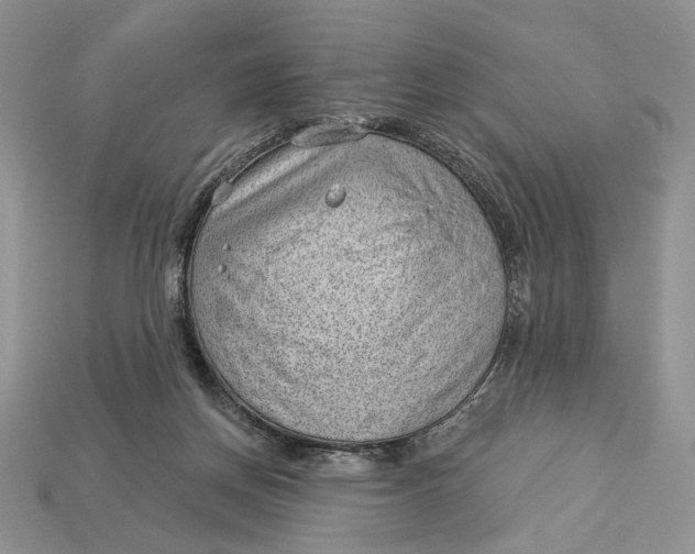 X0000112980166200909171345