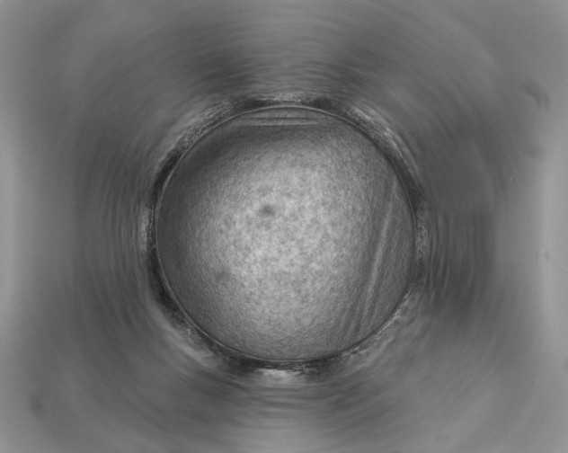 X0000112980167200909171345