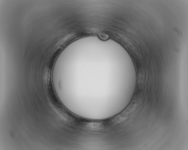 X0000112980168200909171345