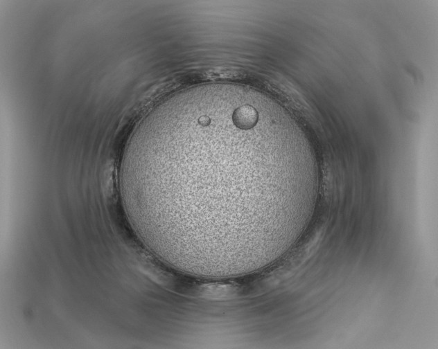 X0000112980169200909171346