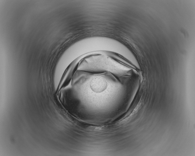 X0000112980170200909171346