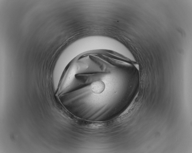 X0000112980172200909171346
