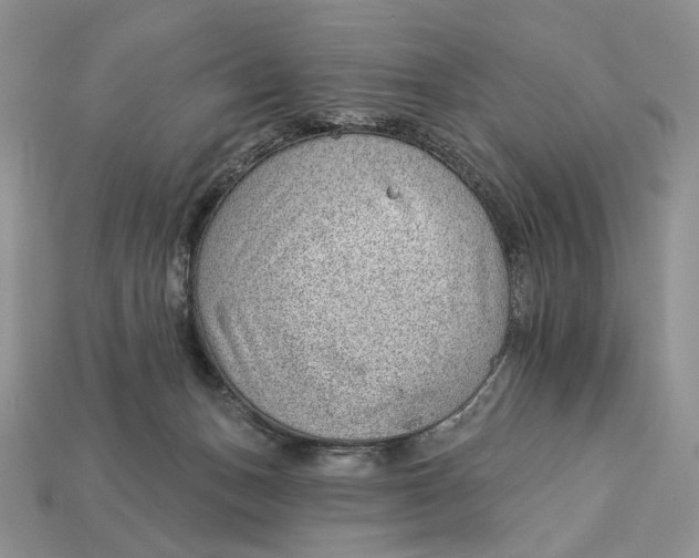 X0000112980175200909171346