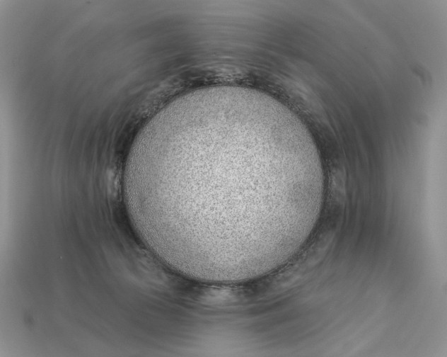 X0000112980177200909171346