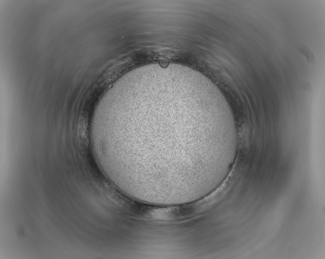 X0000112980178200909171346