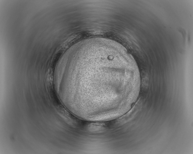 X0000112980179200909171346