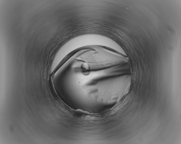 X0000112980180200909171346