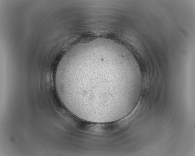 X0000112980182200909171346