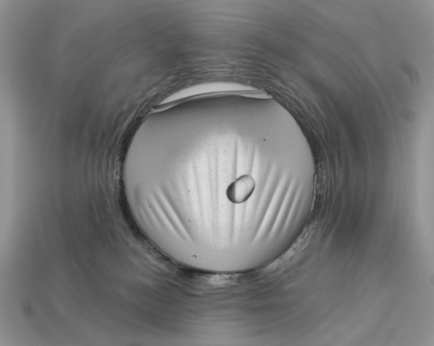 X0000112980184200909171346