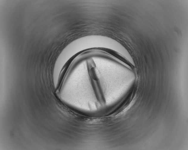X0000112980186200909171346