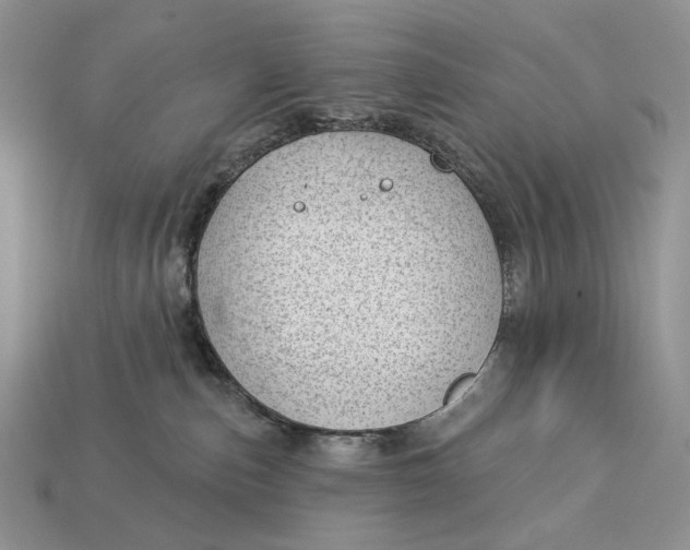 X0000112980187200909171346