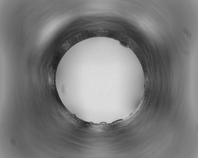 X0000112980190200909171346