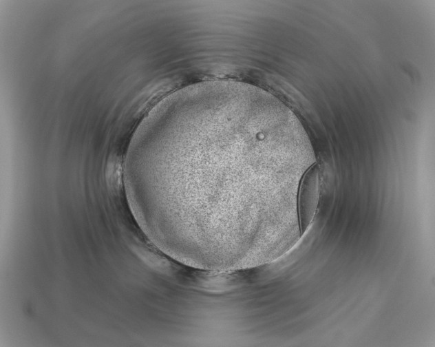 X0000112980191200909171346