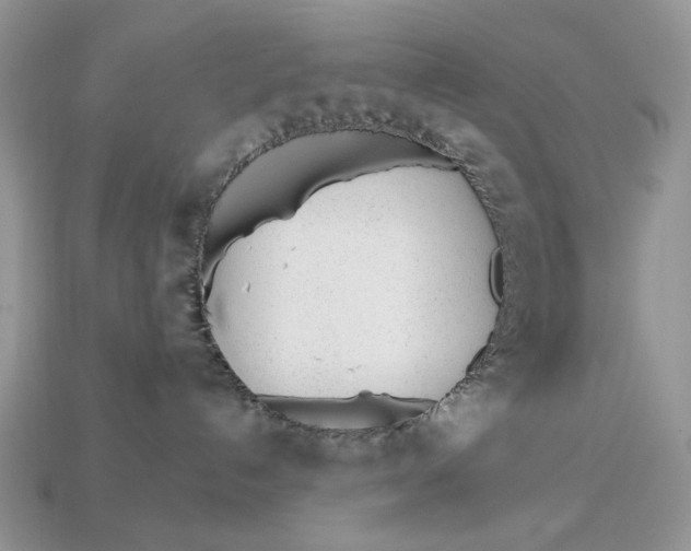X0000112980192200909171346