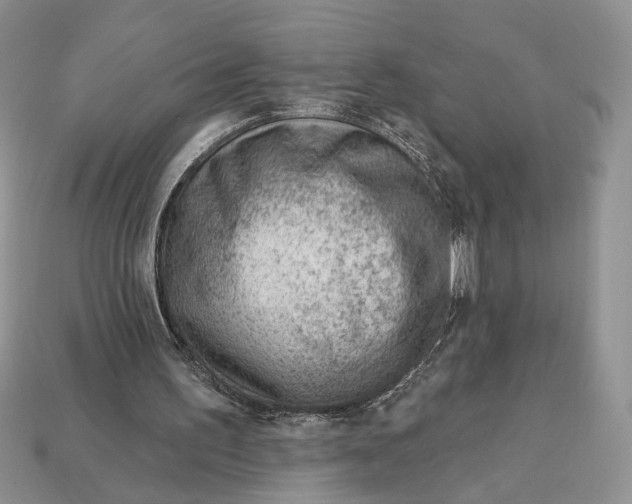 X0000112980195200909171345