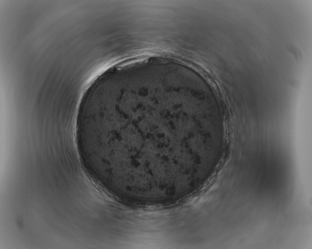 X0000112980196200909171345