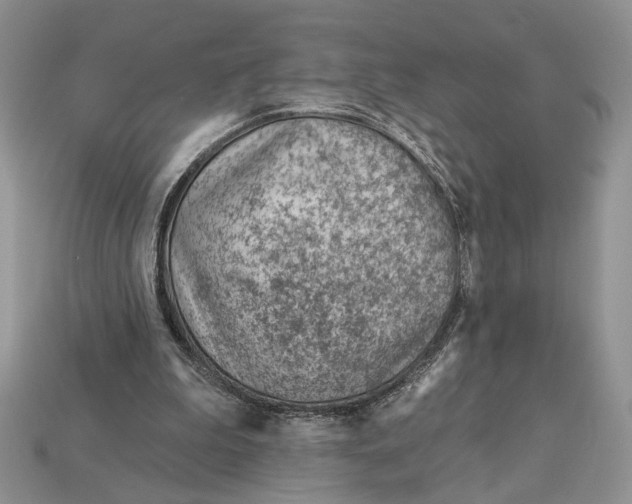 X0000112980199200909171345
