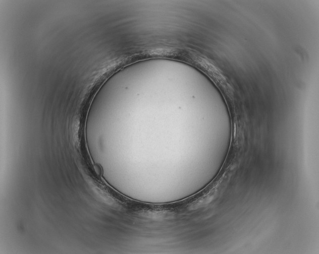 X0000112980201200909171345