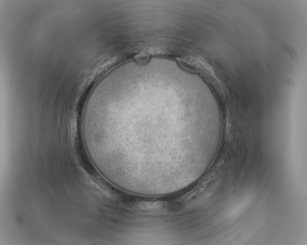 X0000112980202200909171345