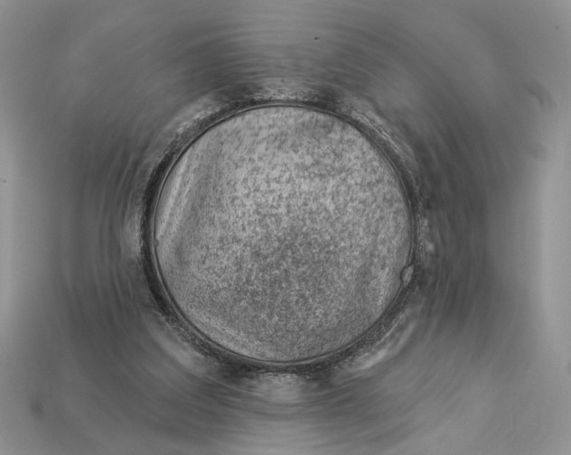 X0000112980203200909171345
