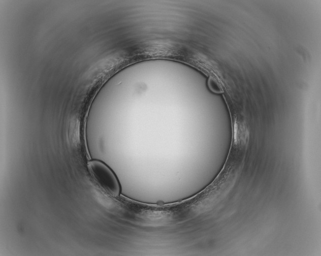 X0000112980205200909171345