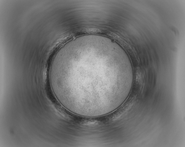 X0000112980206200909171345