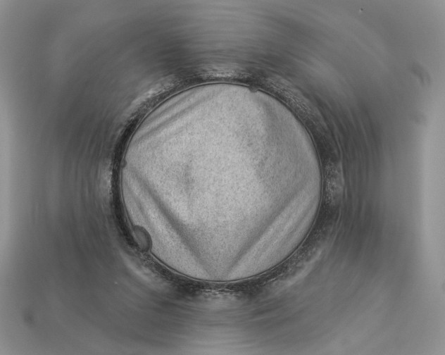 X0000112980207200909171345