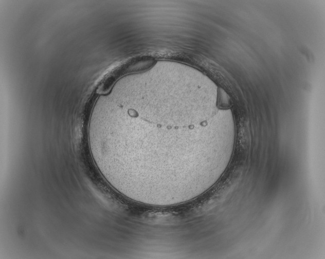 X0000112980208200909171345
