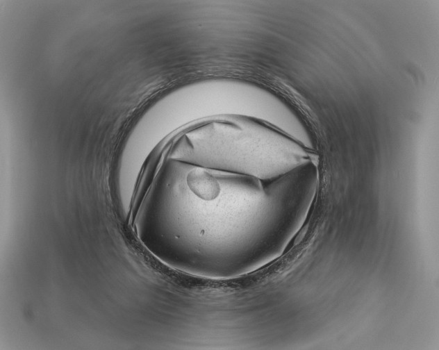 X0000112980209200909171345