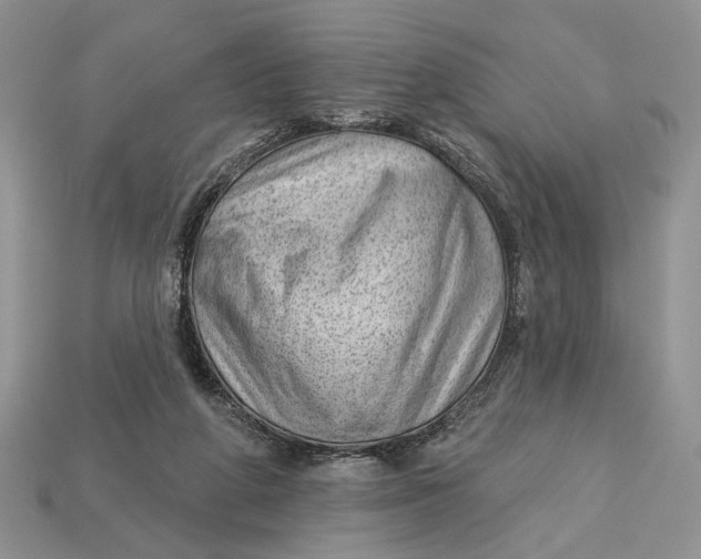 X0000112980210200909171345