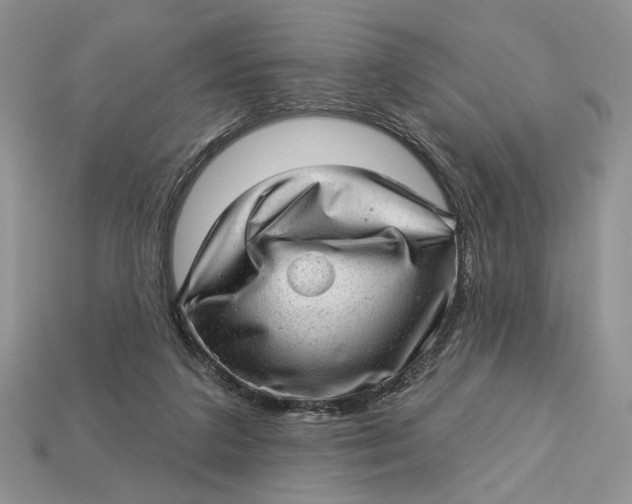 X0000112980211200909171345