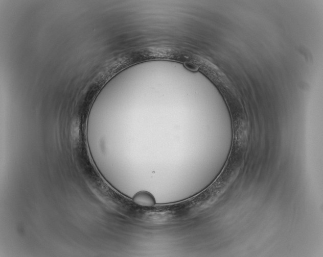 X0000112980213200909171345
