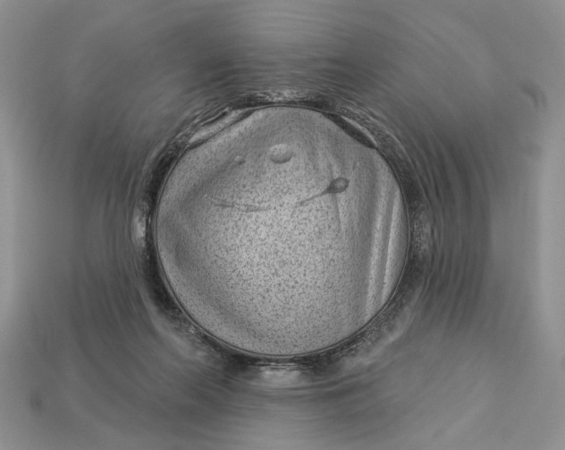 X0000112980214200909171345