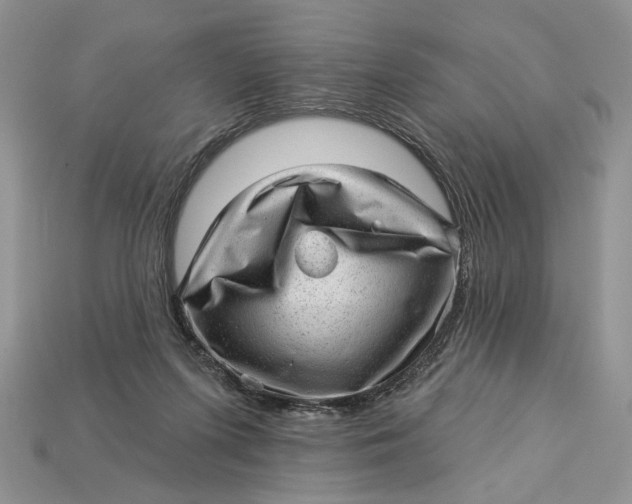 X0000112980215200909171345