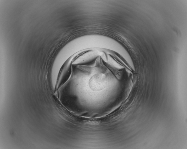 X0000112980217200909171345