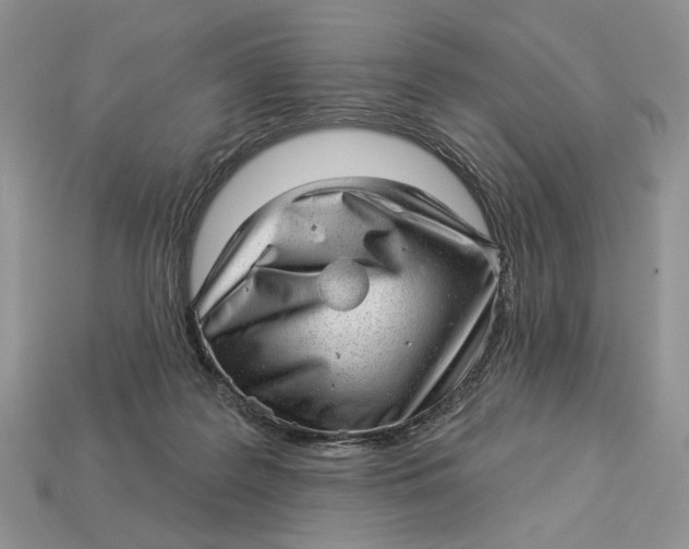 X0000112980219200909171345