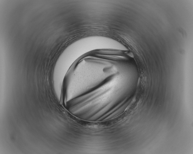 X0000112980221200909171345