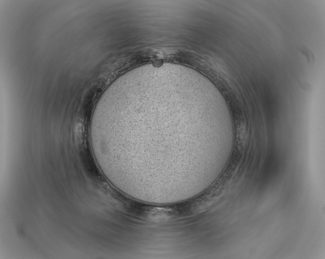 X0000112980222200909171345