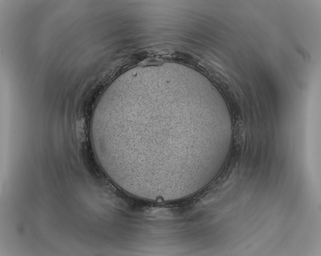 X0000112980224200909171345