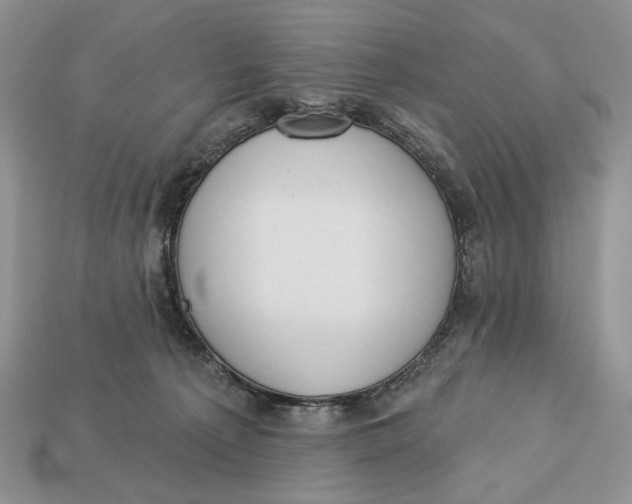 X0000112980225200909171345