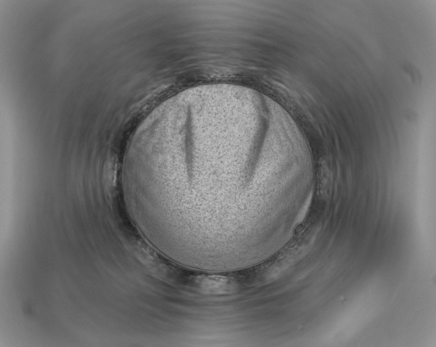 X0000112980230200909171345