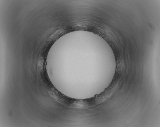 X0000112980231200909171345