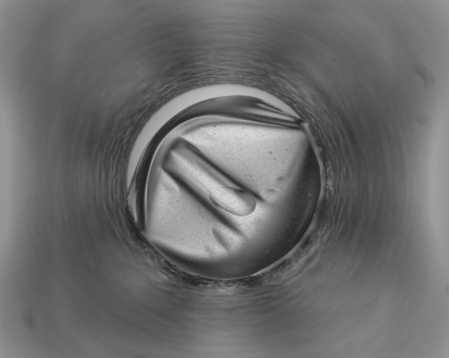 X0000112980235200909171344